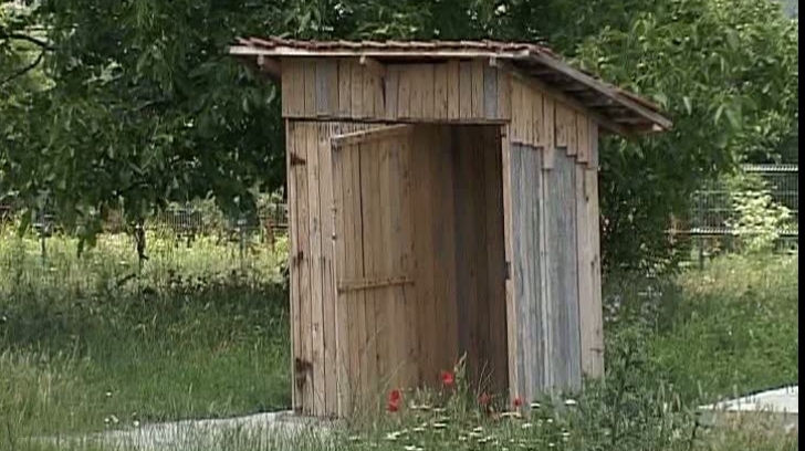 Uii îi mai spun acesteia ”căcăstoare”. Acum și în varianta mahon, doar la Dedeman.