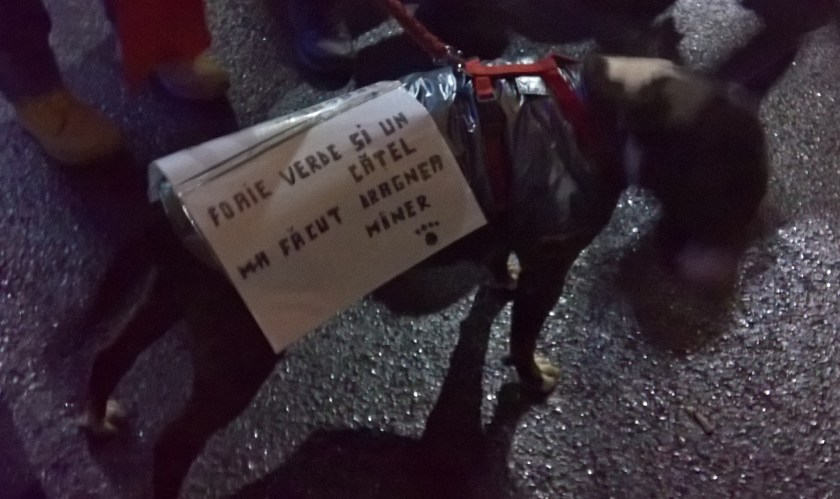 Fiecare-și poartă stindardul... indiferent de rasă, specie, limbă... etc.