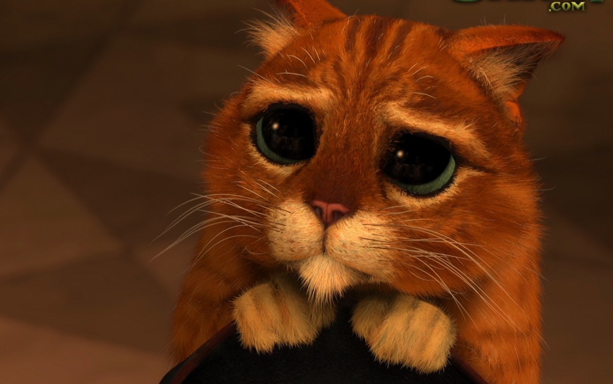 Scuzele se prezintă, iertarea se&nbsp;cere